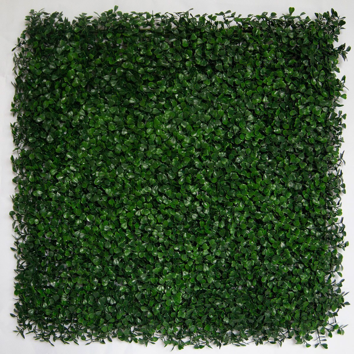 Green Smart, Panel de Follaje Sintético, Modelo Ficus