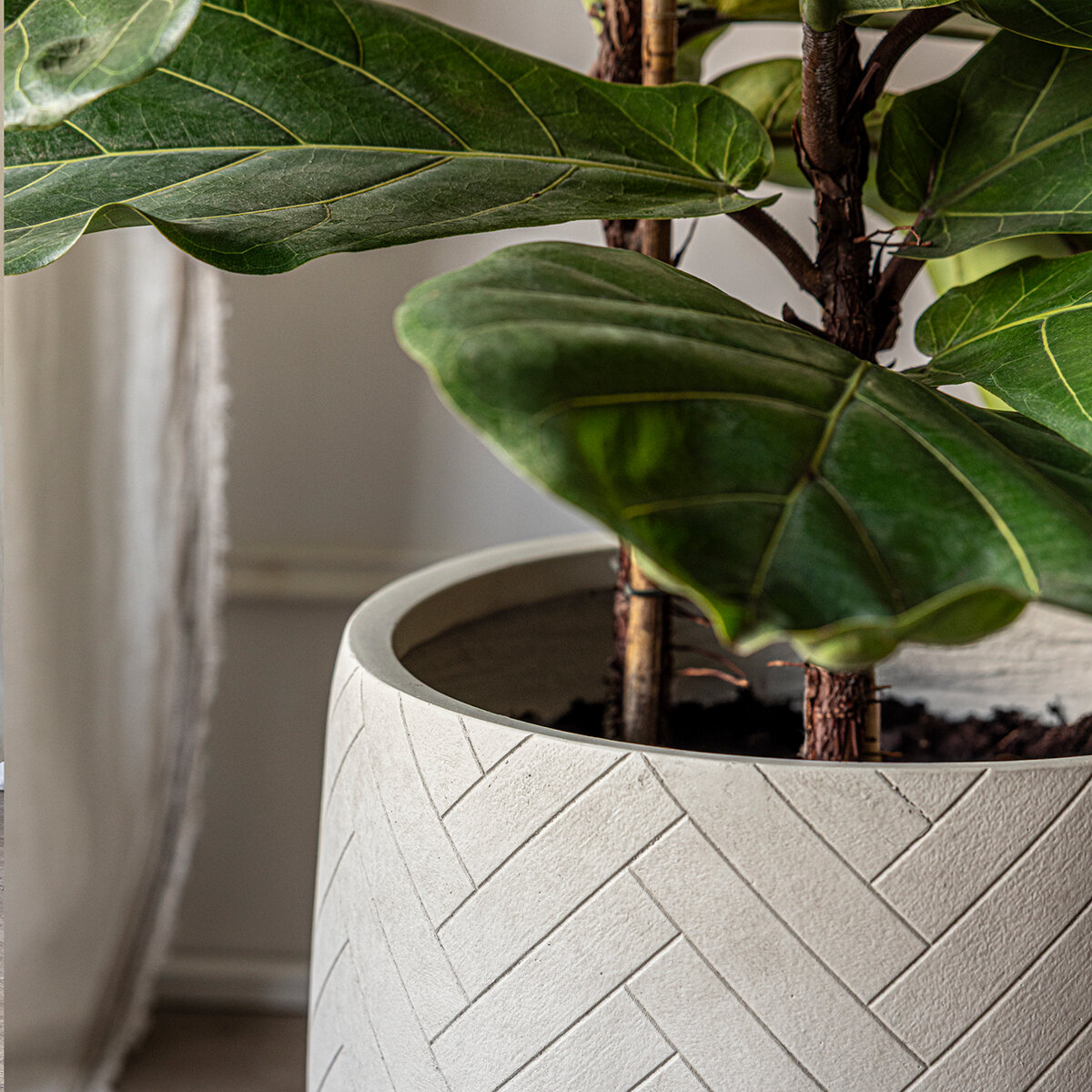 Over & Back, Tribes Maceta de Fibra de Arcilla Blanca Over & Back, Tribes Maceta de Fibra de Arcilla Blanca