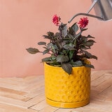 Over & Back, Set de 2 Macetas de Jardín con Platos