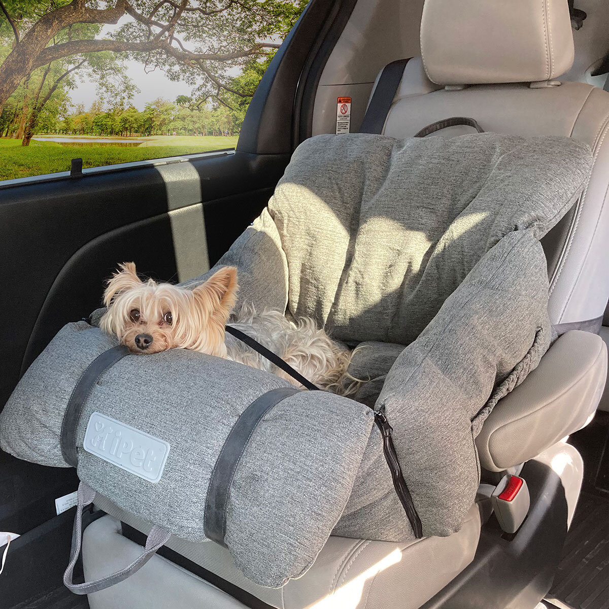 Asiento de Viaje para Mascota con Protección de Teflón, Varios Colores
