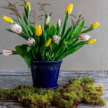 Over & Back, Chelsea Set de 2 Macetas de Cerámica Azul