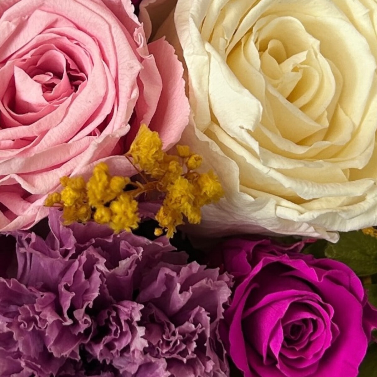 Alive, Bouquet Mix Primavera, Caja Blanca, Duración 6 Meses. Alive, Bouquet Mix Primavera, Caja Blanca, Duración 6 Meses.