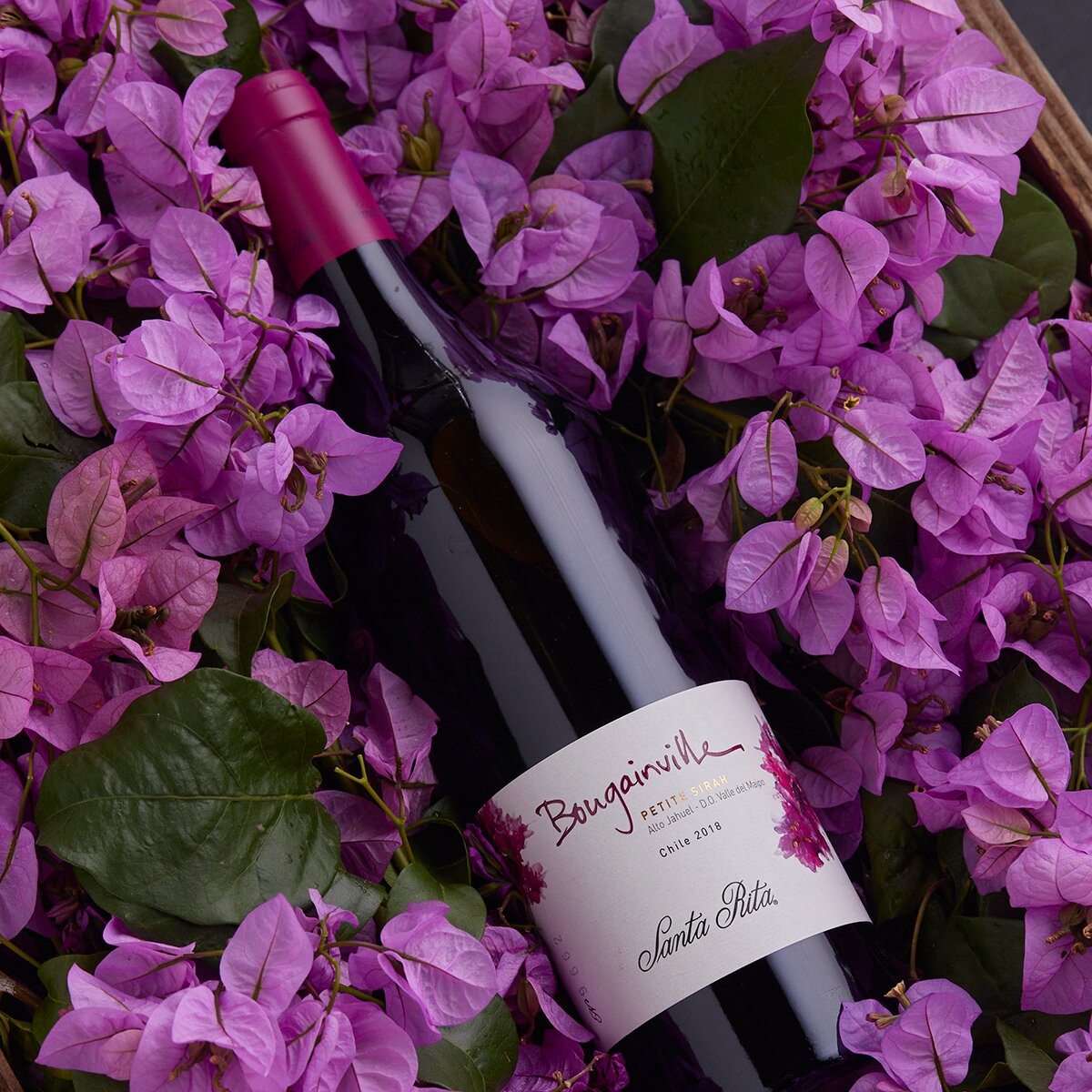 Vino Tinto Santa Rita Bougainville Petite Sirah 750 ml