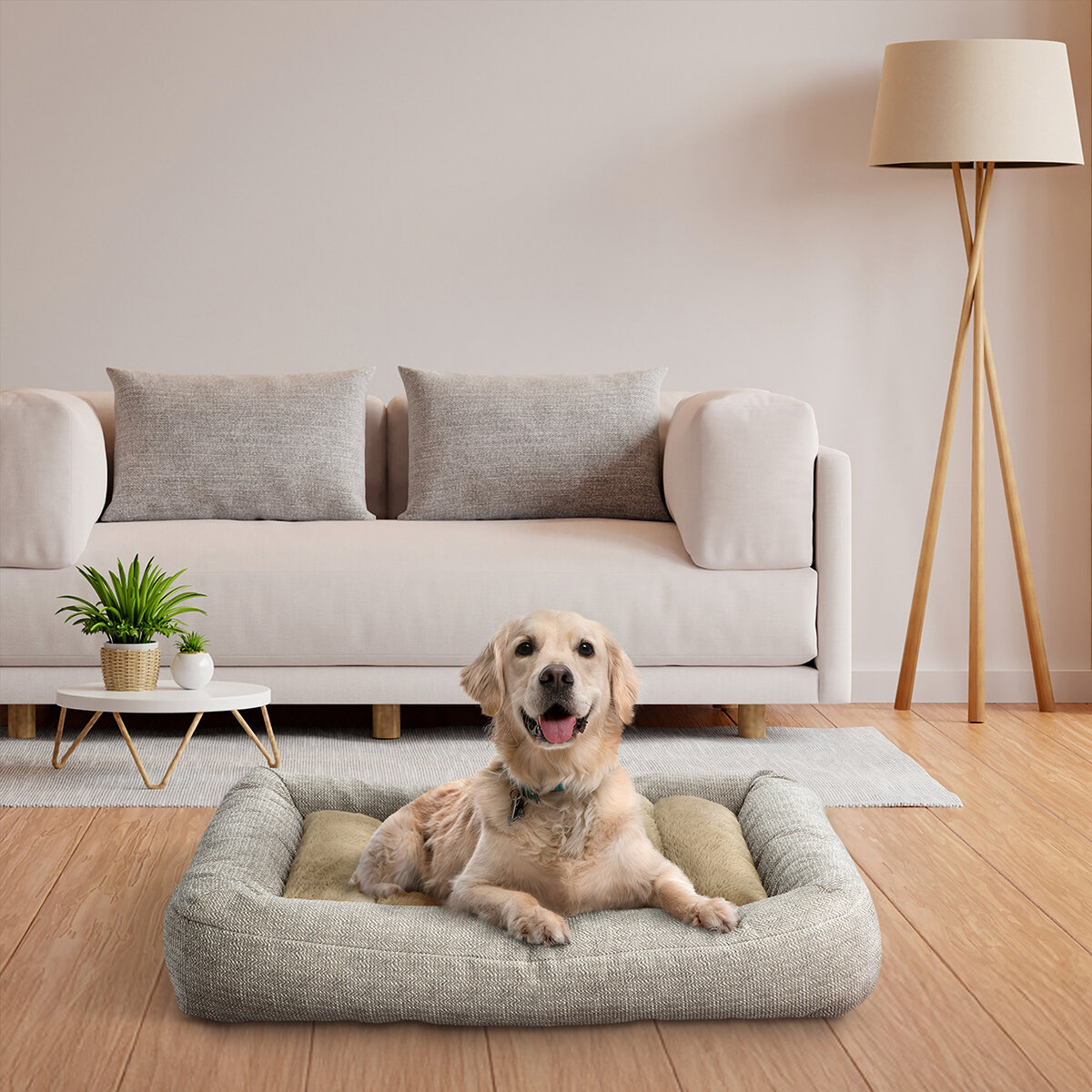 Kirkland Signature Cama para Perro