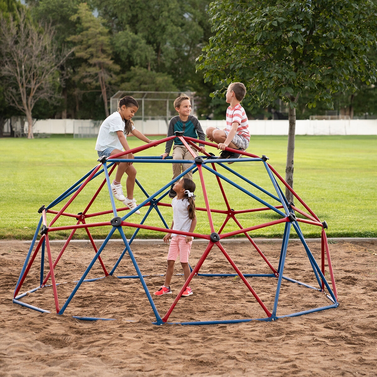 Lifetime Domo Escalador Para Niños Azul y Rojo