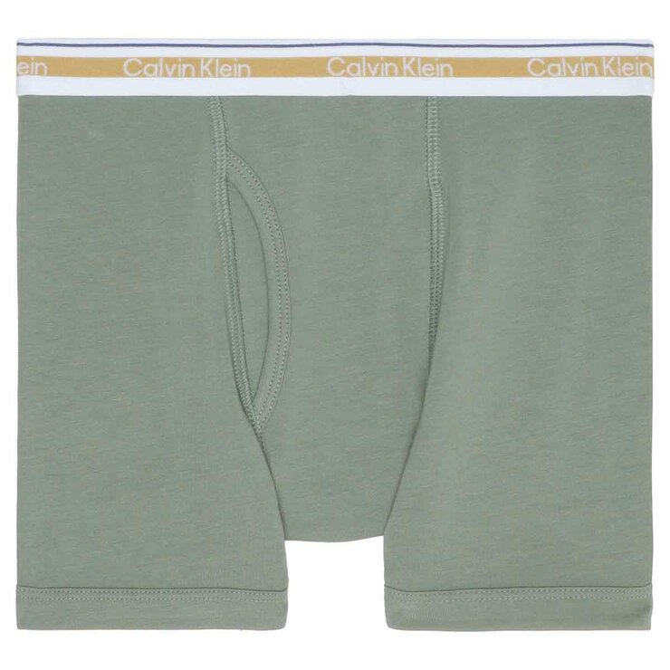 Calvin Klein Ropa Interior para Niños 6 piezas Niños 8 / 10 Años Calvin Klein Ropa Interior para Niños 6 piezas Niños 8 / 10 Años