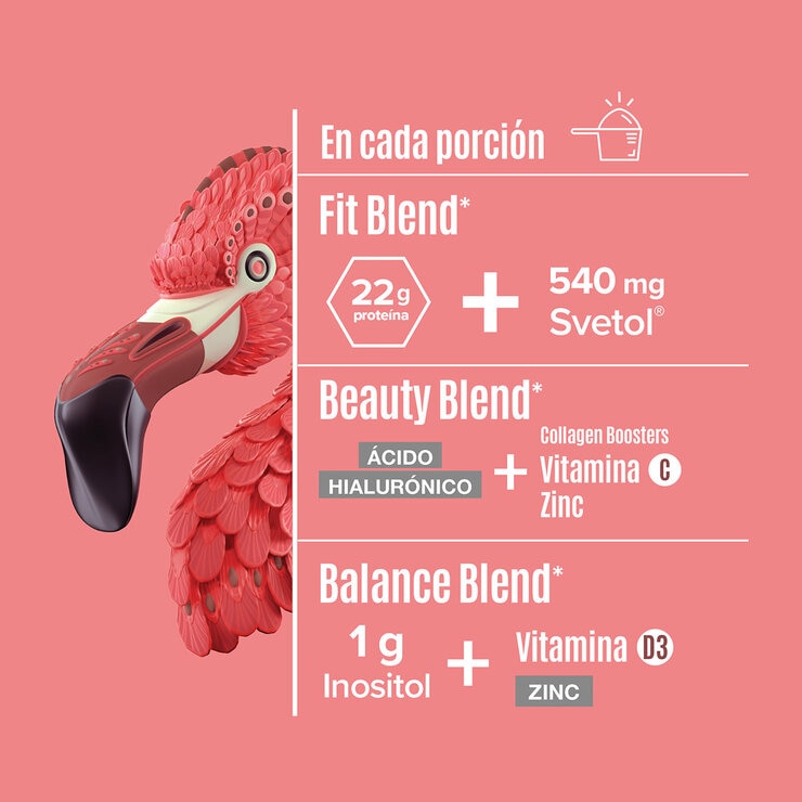 Birdman Fitmingo Proteína Vegetal Sabor Moka 1.496 kg