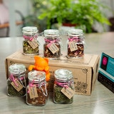 Zoma Tea Collection Tea set sample 24 horas de té