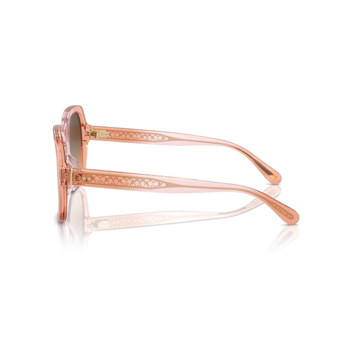 Coach 0HC8395U58127454 Lentes de Sol