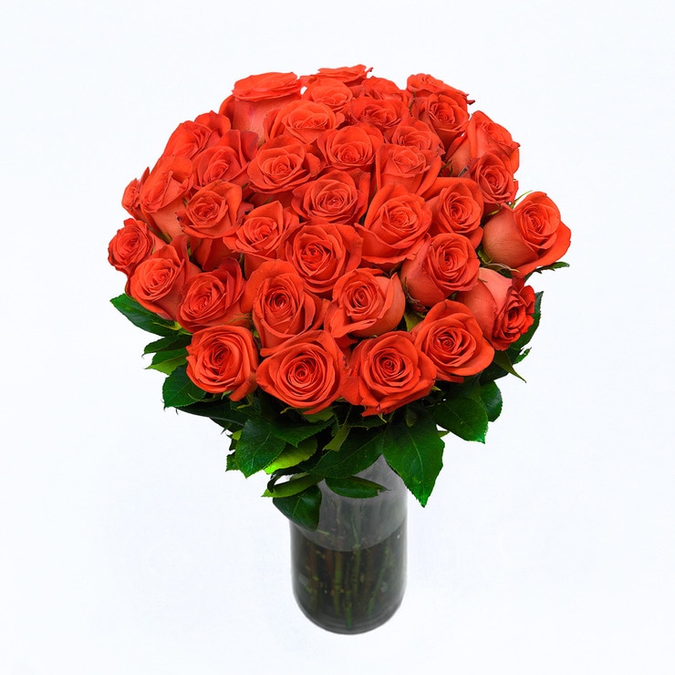 Bouquet 36 rosas naranjas Bouquet 36 rosas naranjas
