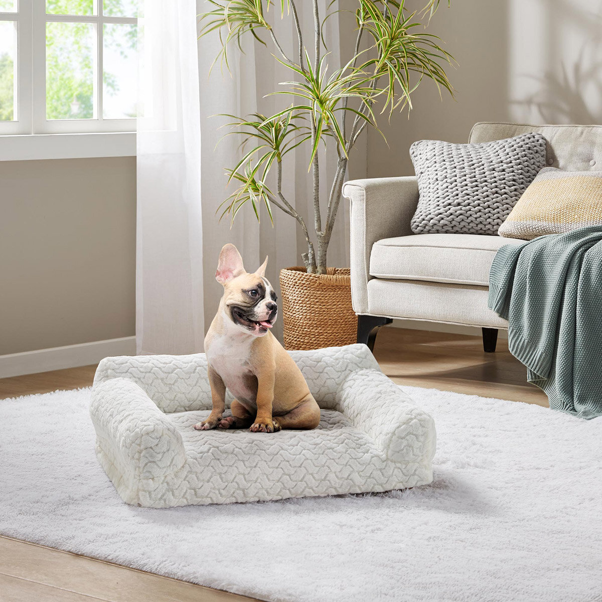 Kirkland Signature Sofá para Mascotas