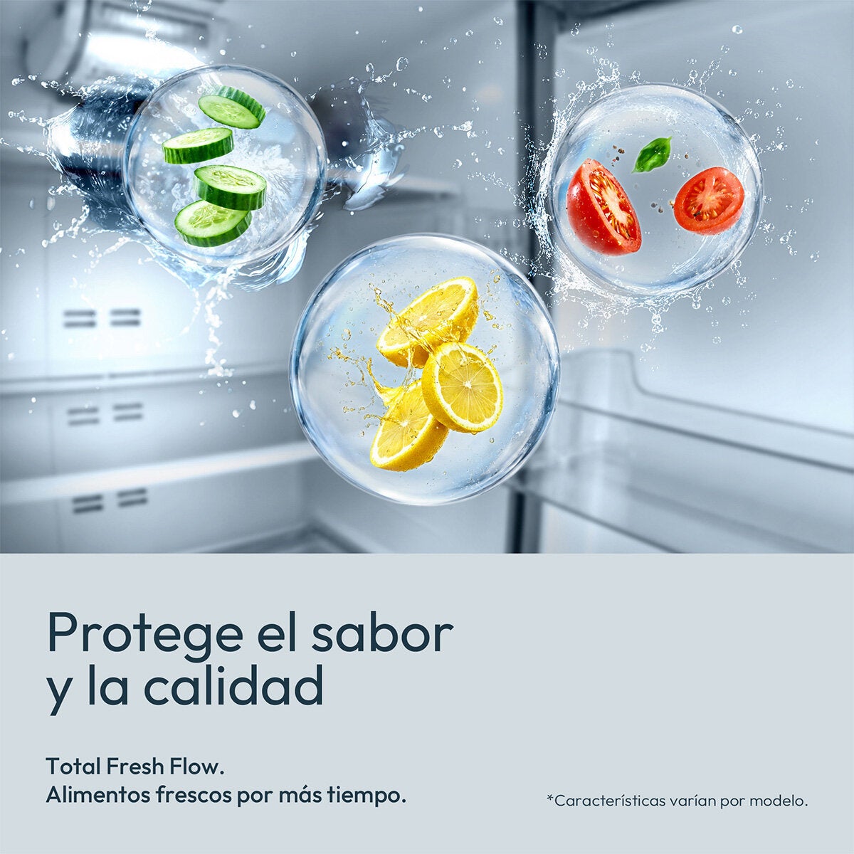 Mabe Refrigerador 19' Bottom Mount Acero Mabe Refrigerador 19' Bottom Mount Acero