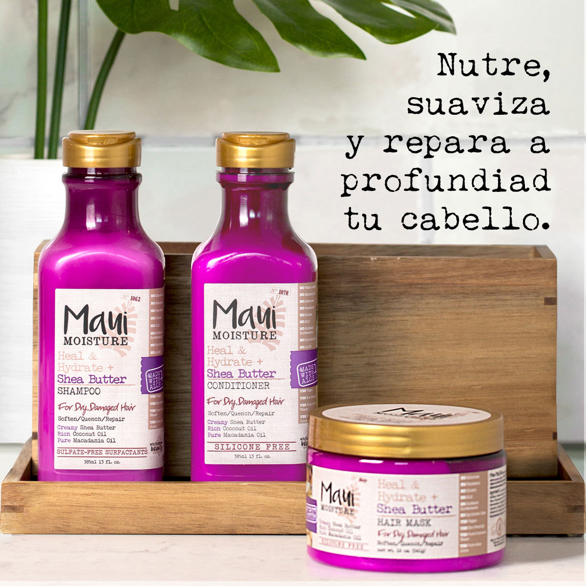 Kit de Cuidado y Limpieza del cabello, Maui Shea Butter