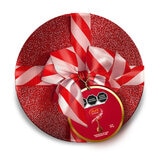 Lindt Caja de Chocolates con Relleno Suave 300 g