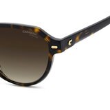 Carrera 3068/S Lentes de Sol