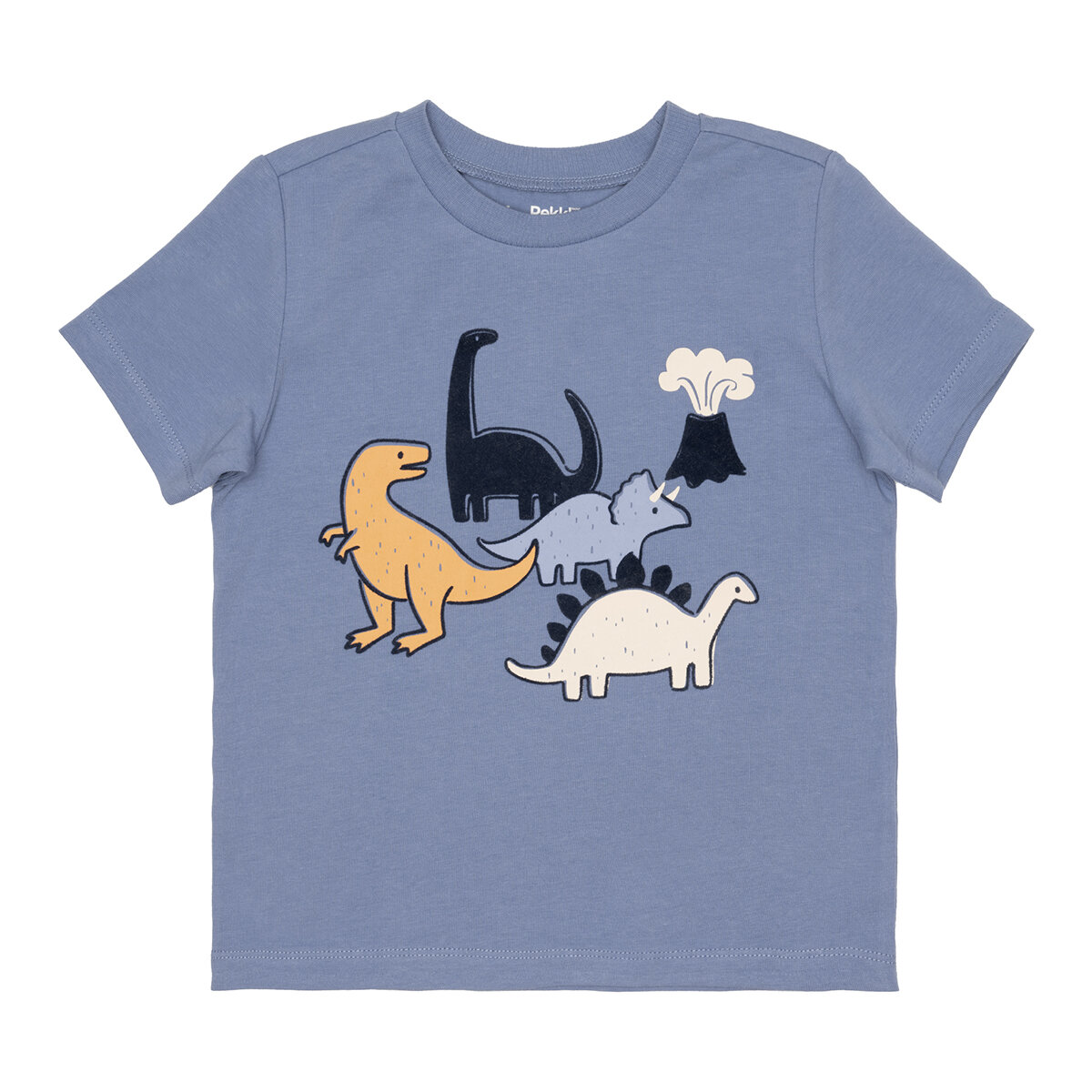 Pekkle Conjunto 4 piezas para Niños y Niñas Dinosaurios 12 Meses