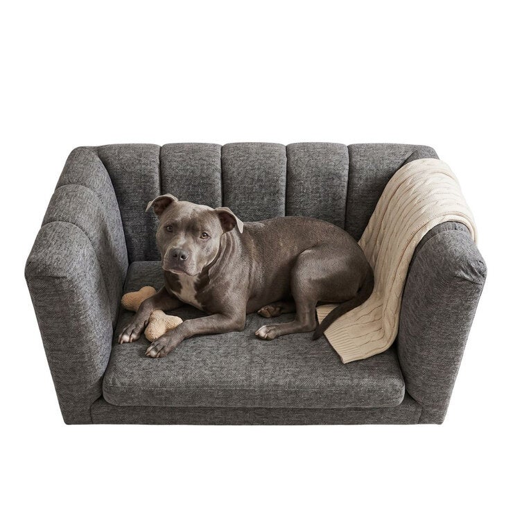 Maypet, Sofa para Mascota, Color Gris, Capacidad hasta 20 Kg