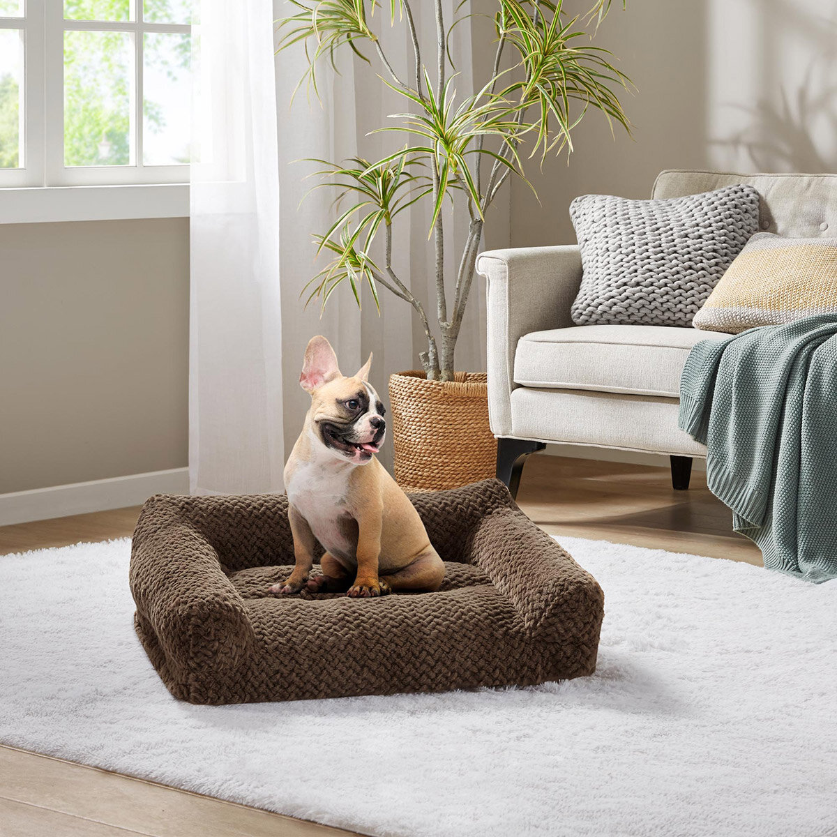 Kirkland Signature Sofá para Mascotas