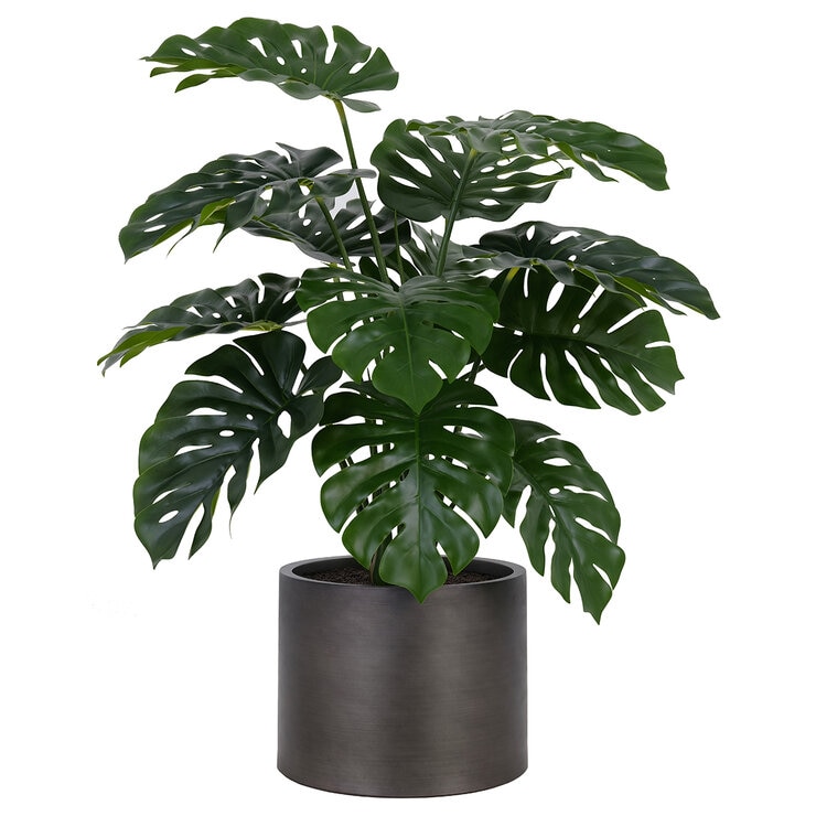 CG Hunter, Árbol Artificial de Monstera con Base