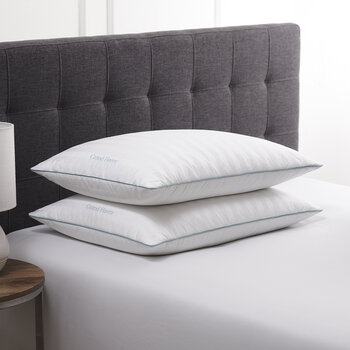 Grand Haven Juego de Almohadas de Plumas/Plumón  2 piezas