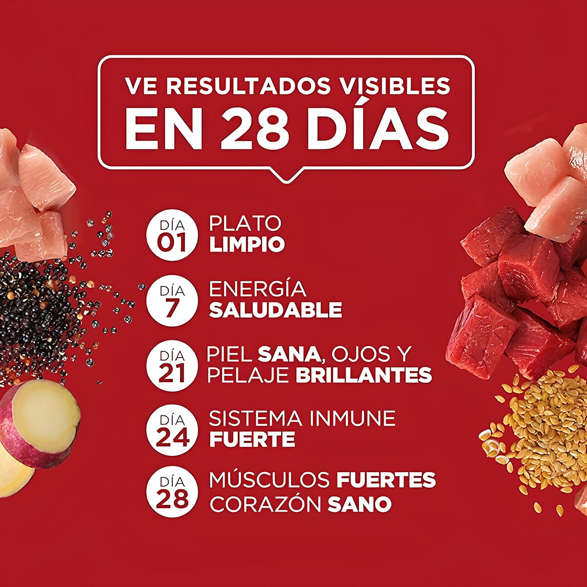 Purina One Alimento Húmedo para Perro 24 pzas