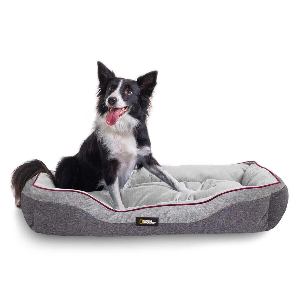 Cama mascota costco cheap