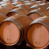 Vino Tinto Izadi Crianza 750ml