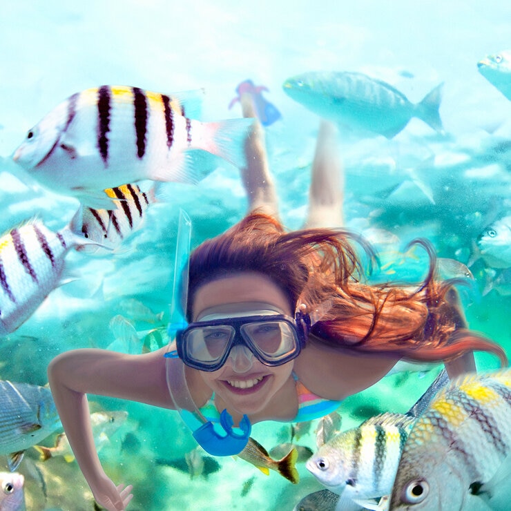 Tour Paquete Adulto - Xcaret Plus o Xel-Há + Actividad Extraordinaria