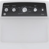 GE Secadora de Gas 22kg