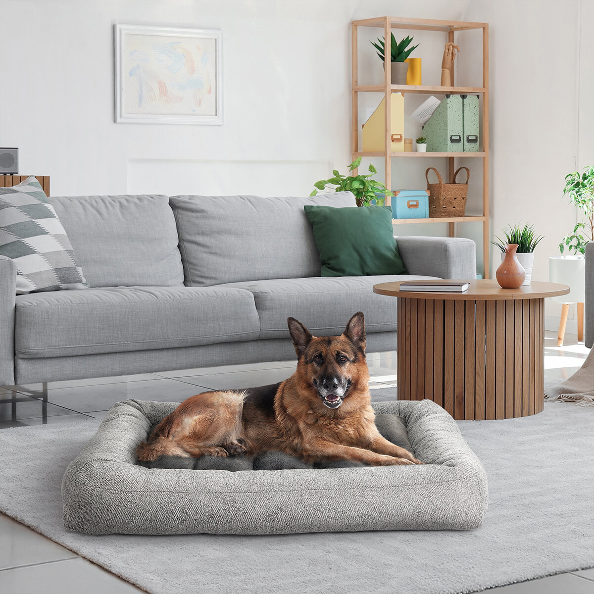 Kirkland Signature Cama para Perro