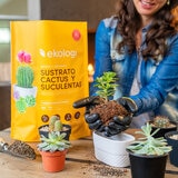 Ekologi, Sustrato para Cactus y Suculentas 2 piezas de 3.36kg