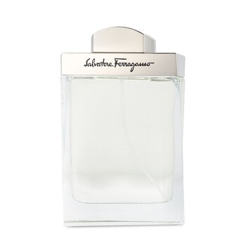 Salvatore Ferragamo Pour Homme 100 ml Salvatore Ferragamo Pour Homme 100 ml