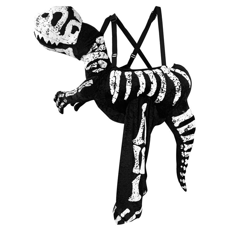 Disfraz Montable o Ride On, Dinosaurio 4 Años