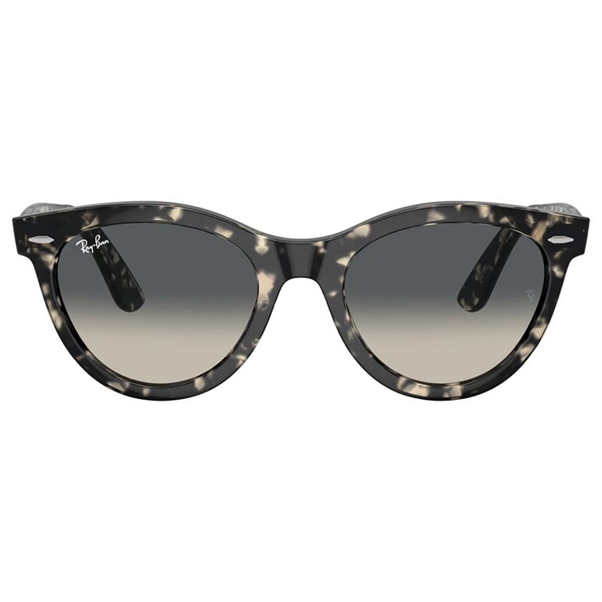 Ray Ban 0RB224113337154 Lentes de Sol