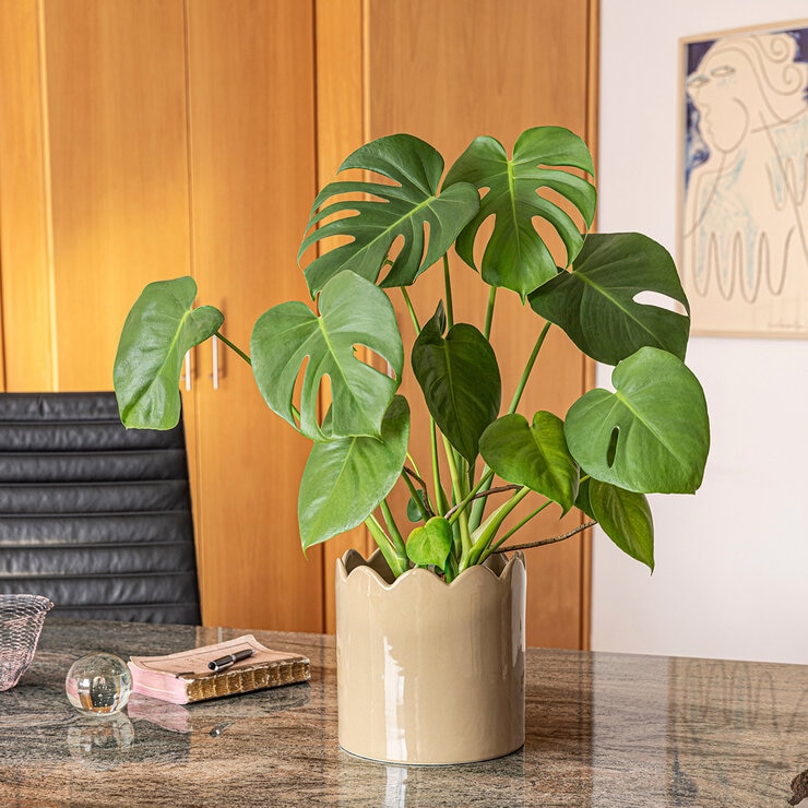 Over & Back, Inspiration Set de 2 Macetas Beige