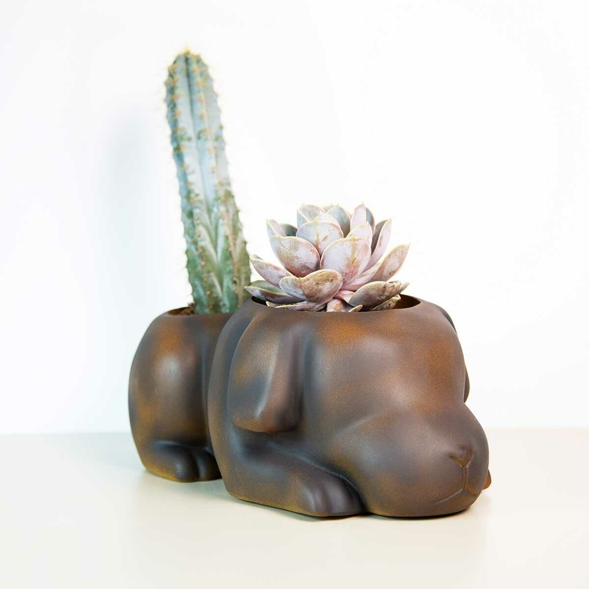 Estudio Floga, Molcas Maceta en Forma de Perro Café