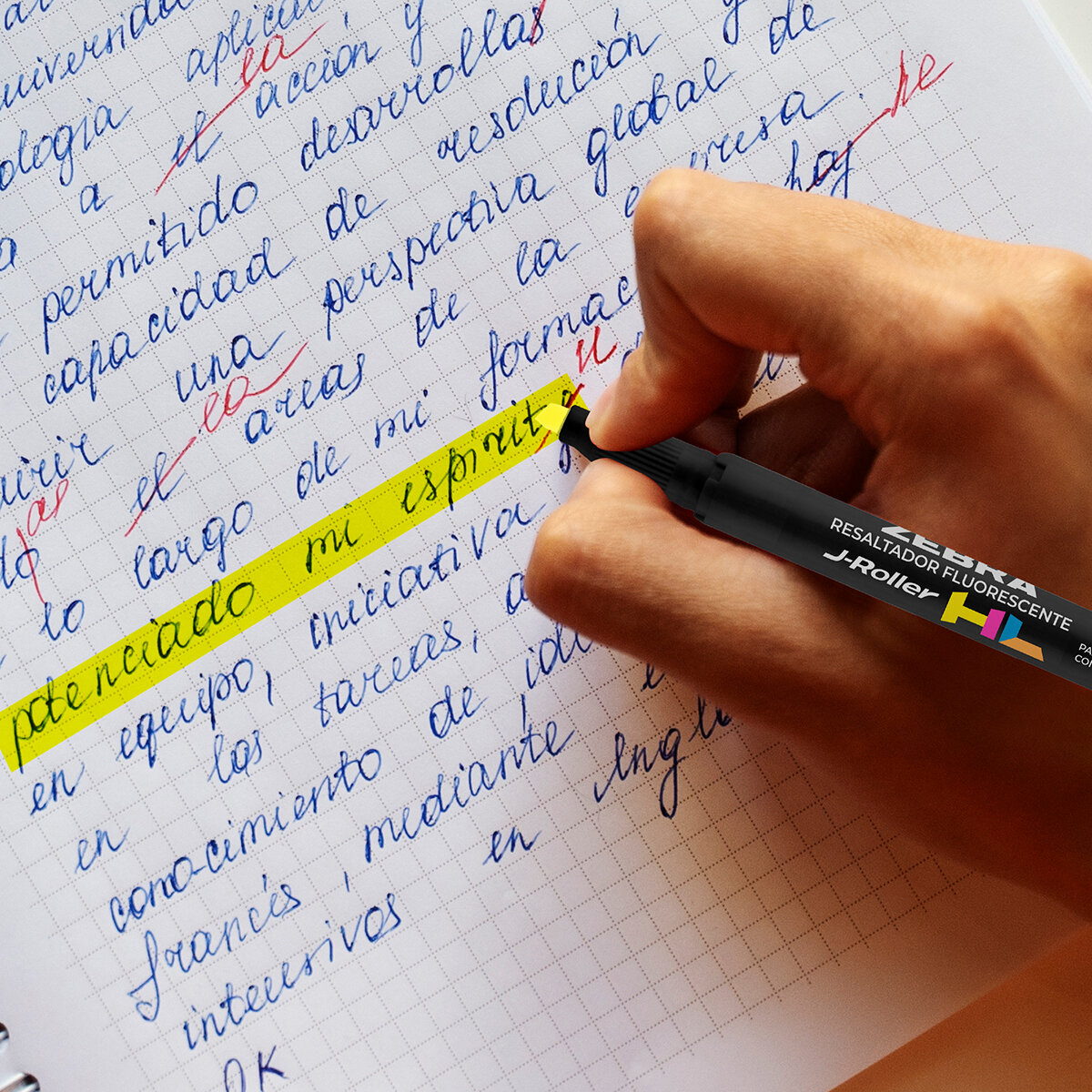Zebra Set de Journaling 35 Piezas
