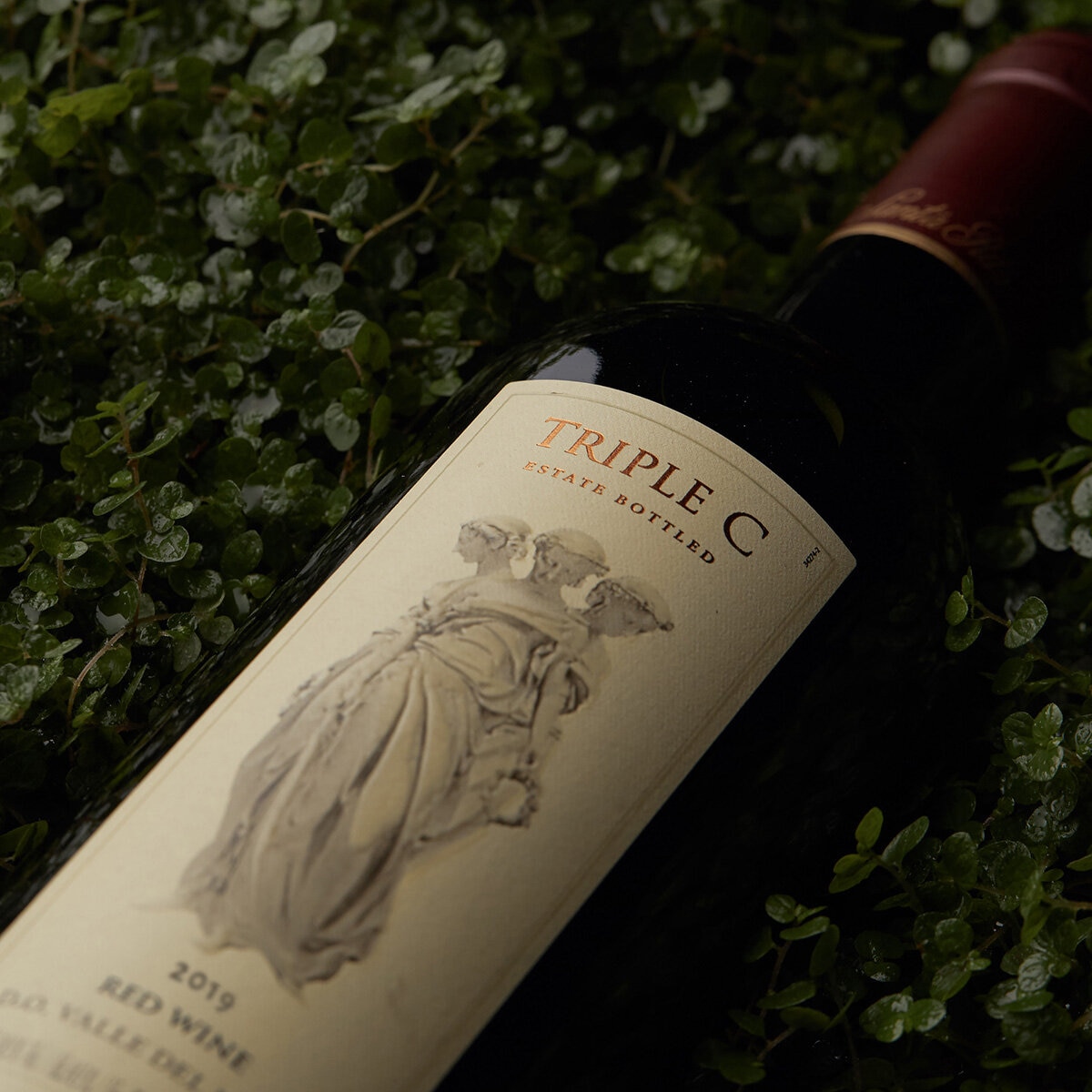 Vino Tinto Santa Rita Triple C 750ml