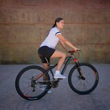 Bicicleta de Montaña R29 Alubike Ranger Pro