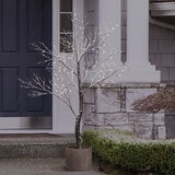 Árbol Iluminado en Maceta con 280 Luces LED, 2.1m