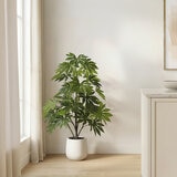 CGH, Árbol de Aralia de Aspecto Natural CGH, Árbol de Aralia de Aspecto Natural