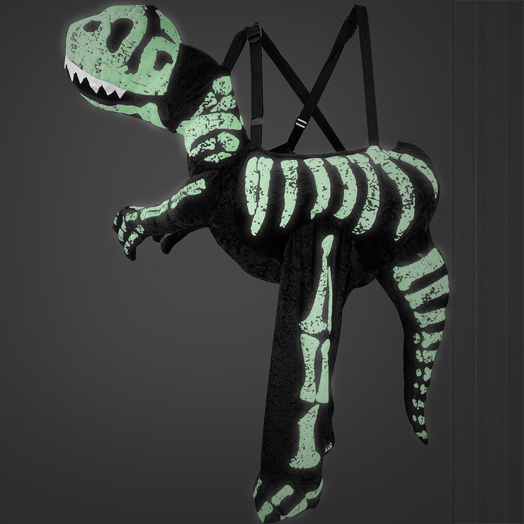 Disfraz Montable o Ride On, Dinosaurio 4 Años