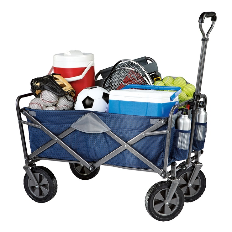 carro para jalar niños