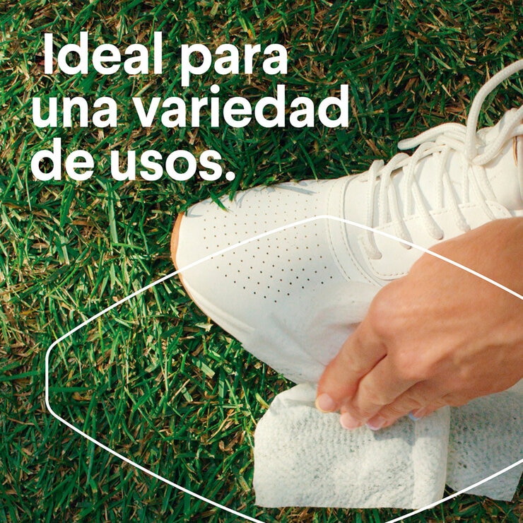 Clorox Toallas Desinfectantes 5 pzas con 85 Toallitas cada una