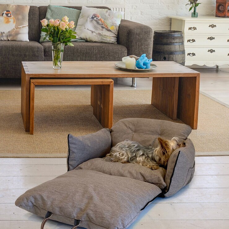 Asiento de Viaje para Mascota con Protección de Teflón, Varios Colores