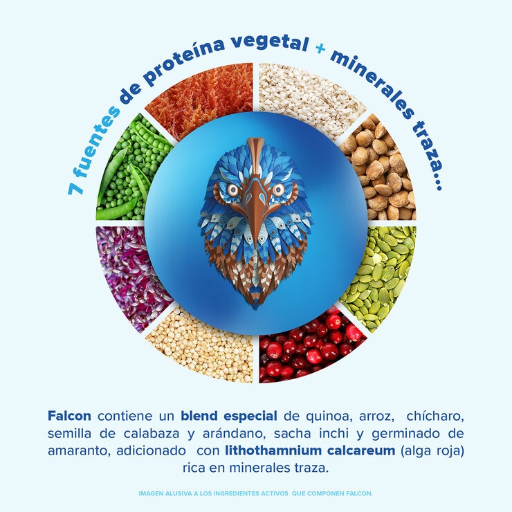 Birdman Falcon Proteína Vegetal Orgánica Sabor Doble Chocolate 1.5 kg