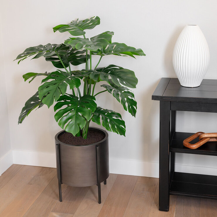 CG Hunter, Árbol Artificial de Monstera con Base