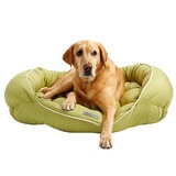 Jax & Bones Cama para Perro