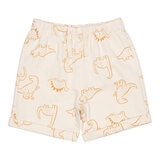 Pekkle Conjunto 4 piezas para Niños y Niñas Dinosaurios 12 Meses