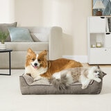 Kirkland Signature Cama Rectangular para Mascota